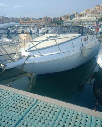 barca cruiser