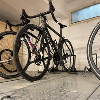 bici de rosa taglia 52