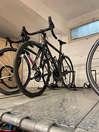 bici de rosa taglia 52