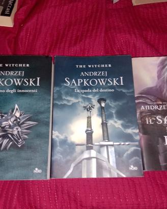 The witcher 