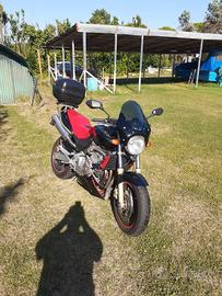 Hornet 600