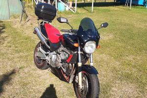 Hornet 600