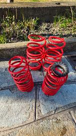 molle sportive eibach