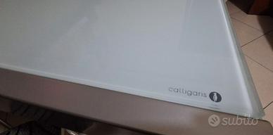 tavolo e 6  sedie calligaris