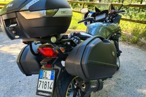 Honda CBF 600 - 2009