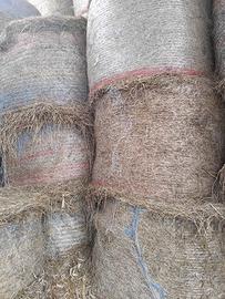 Fieno di prato stabile