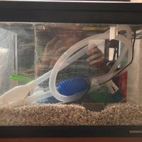 Acquario