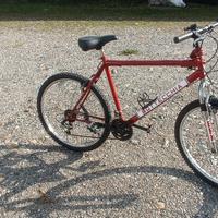 bicicletta Mountain bike marca  Bottecchia