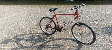 bicicletta Mountain bike marca  Bottecchia