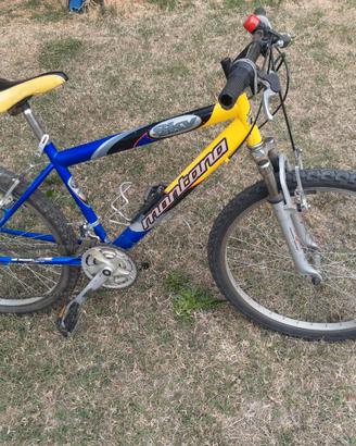 Bicicletta Montana 24