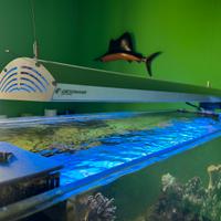 Plafoniera acquario 1200mm GIESEMANN 6x54mm