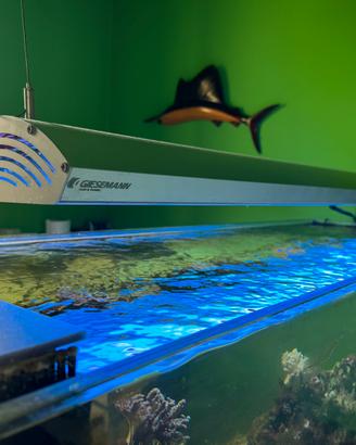 Plafoniera acquario 1200mm GIESEMANN 6x54mm