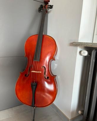 Violoncello Jay Hide