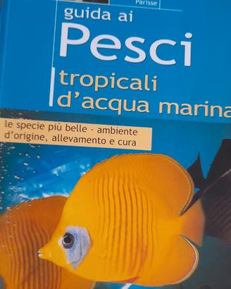 guida  pet pesci  marini 