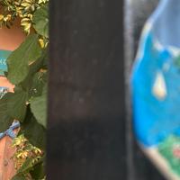 Marina di Camerota a Casa Vacanze da Vicenta