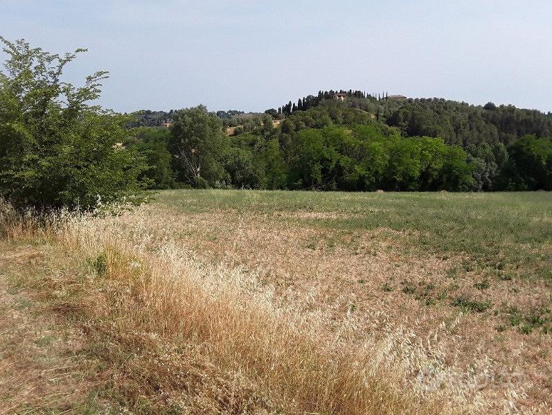 Pisa - Terreno agricolo seminativo 2,3 ettari - Vista 6