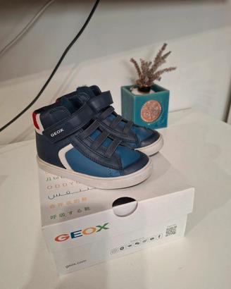 scarponcini Geox 