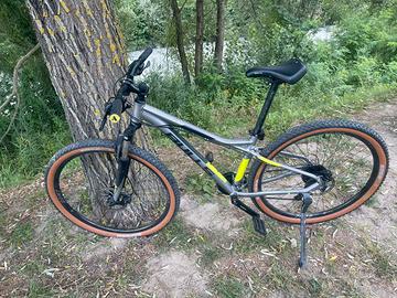 Bicicletta bulls da montagna