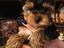 Immagine 5