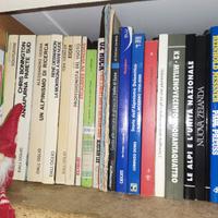 Desmaison - La montagna a mani nude Dall'Oglio ed