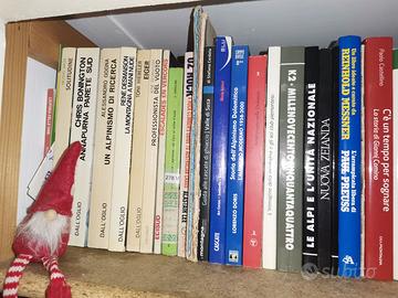 Desmaison - La montagna a mani nude Dall'Oglio ed