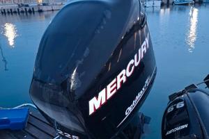 Mercury Optimax 225 xl sinestroso