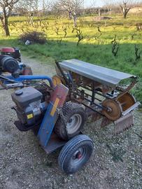 Scopatrice per Olive a Benzina con Carrello Usata