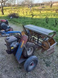 Scopatrice per Olive a benzina con Carrello Usata
