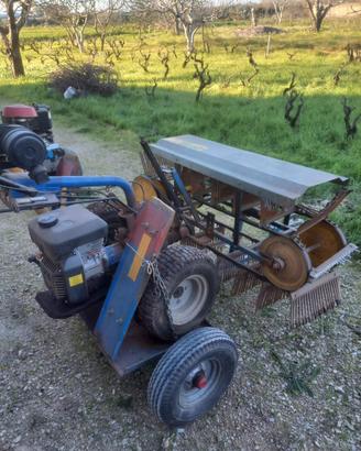 Scopatrice per Olive a diesel con Carrello Usata
