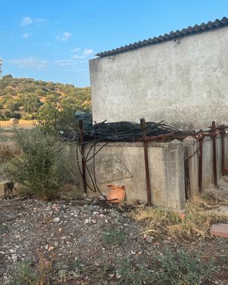 Terreno agricolo con fabbricato e riserva idrica