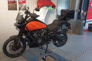 Harley Pan America Special