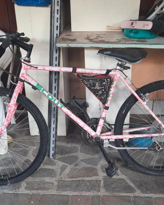 Mountain Bike