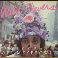 Meyerowitz Joel - Wild Flowers '