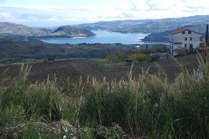Terreno edificabile - Guardialfiera