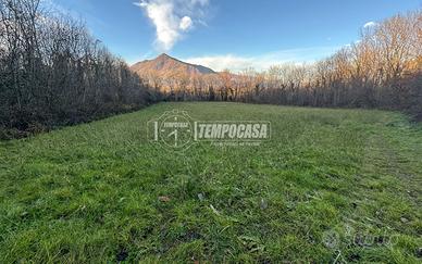 TERRENO AGRICOLO