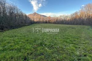 TERRENO AGRICOLO