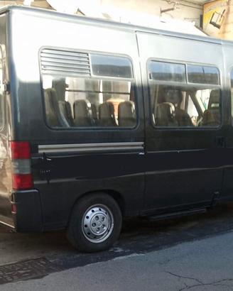 Fiat ducato minibus 14 +1 posti