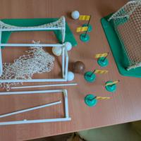 Subbuteo miscellanea