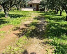 Terreno Agricolo Lamezia Terme