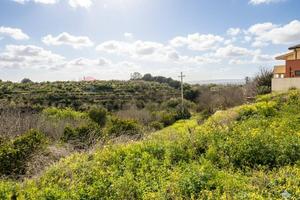 Terreno Edificabile - Carlentini