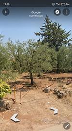 Terreno agricolo su ciclovia a 5 km dalla città