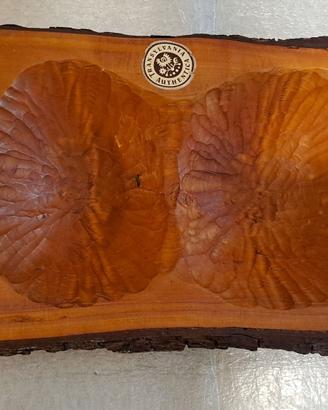 Svuotatasche legno della transilvania certificato