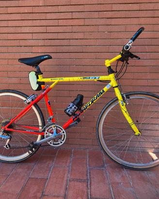 mountain bike