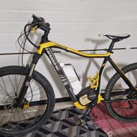 Bici elettrica