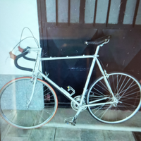 Bici da corsa Alan