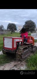 Trattore agricolo FIAT 5565
