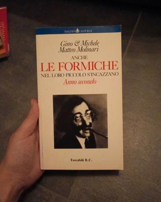Anche le formiche nel loro piccolo s'inc*azzano