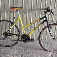 MTB con sellino Colnago