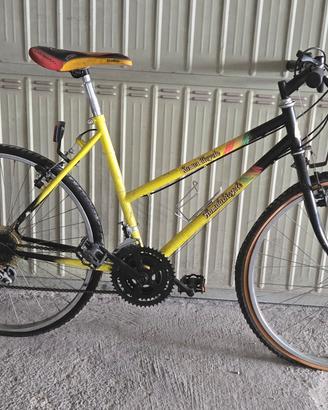 MTB con sellino Colnago
