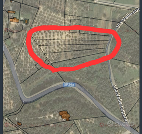 Terreno Agricolo Montelibretti